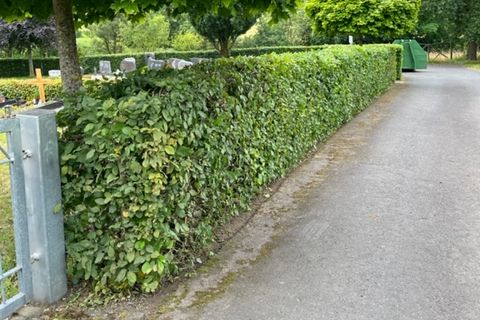Heckenschnitt am Friedhof
