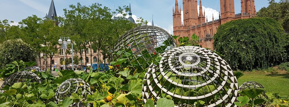 Skulptur am Dern'schen Gelände bietet wieder Kürbissuppe in Wiesbaden