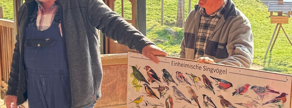 Wir helfen den Vögeln – Nistkästen für unsere gefiederten Freunde