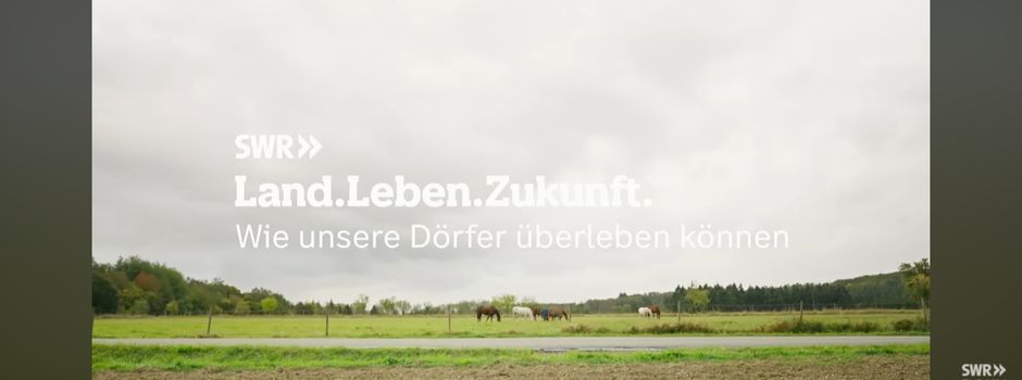 Wintrich im Fernsehen