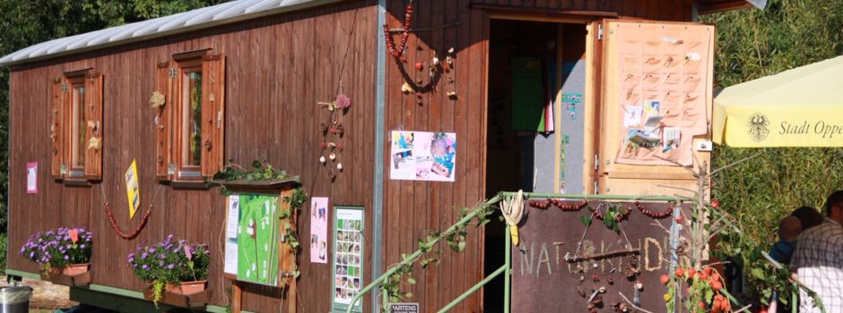 Naturkindergarten Oppenheim sucht Interessierte für FÖJ
