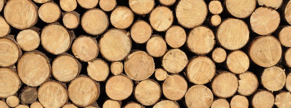 Brennholzbestellung 2024