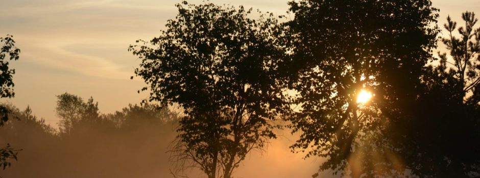 Sonnenaufgang im Hohen Moor