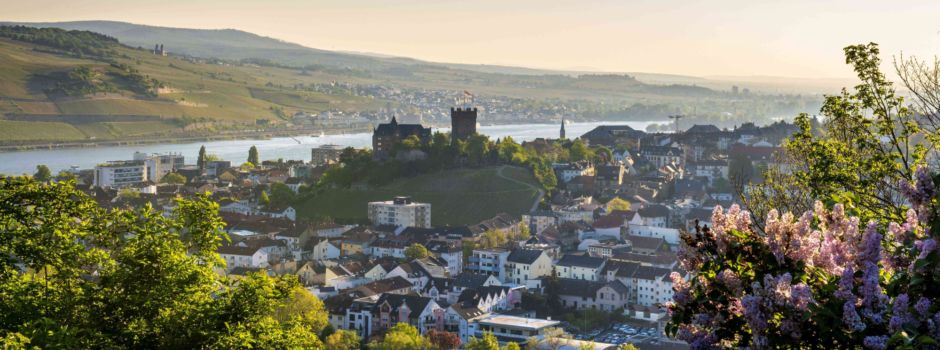 Wohnraum für Geflüchtete im Landkreis Mainz-Bingen gesucht