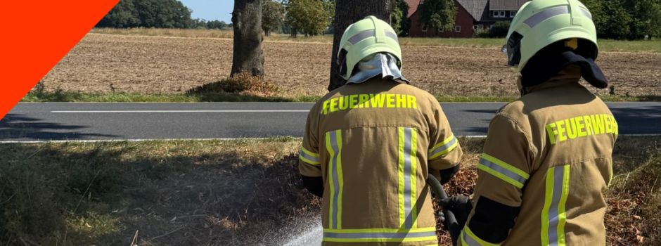 Einsatz 12.08.2026 11:44 Uhr - B-FLB1 Feuer Fläche klein