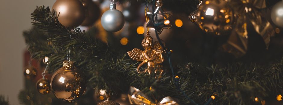 Weihnachtsbaum für den Marktplatz