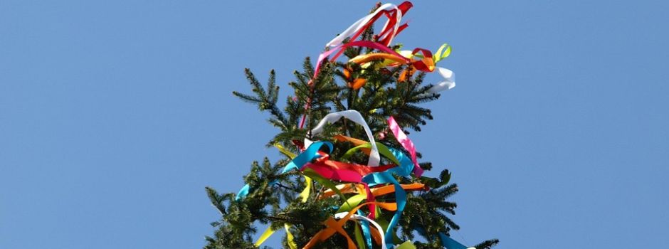 Maibaum stellen am 01.05.2025
