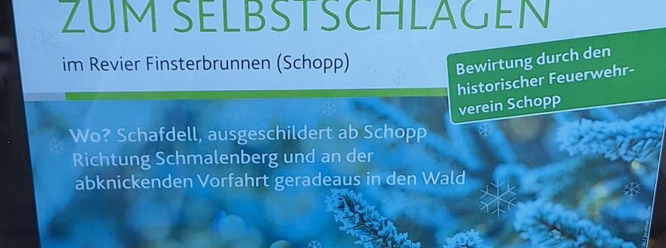 Weihnachtsbäume zum Selbstschlagen am 20.12.2025  von 10:00 Uhr bis 14:00 Uhr