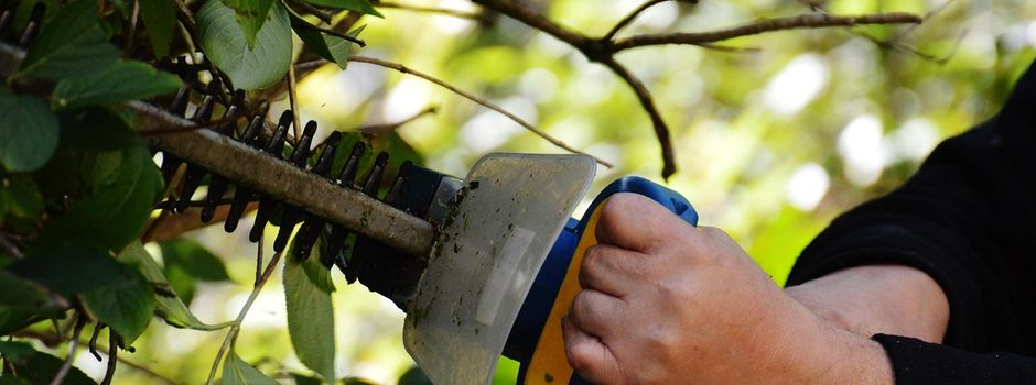 Annahme von Baum- und Strauchschnitt