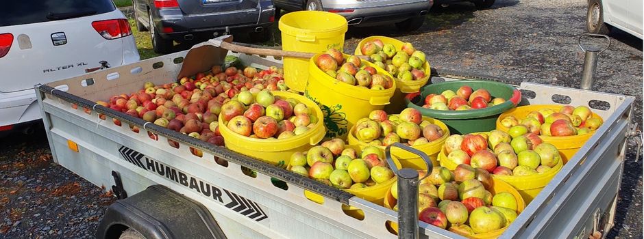 Leckerer, gesunder und naturreiner Apfelsaft vom Bürgerverein Niederkassel