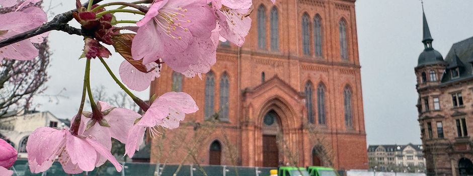 Wie der Wiesbadener Schlossplatz jetzt zur „Schwammstadt“ wird