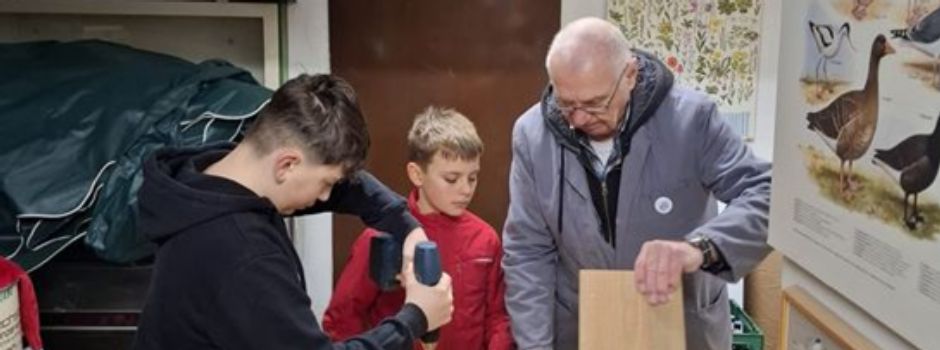 Neue Wohnungen für gefiederte Bewohner