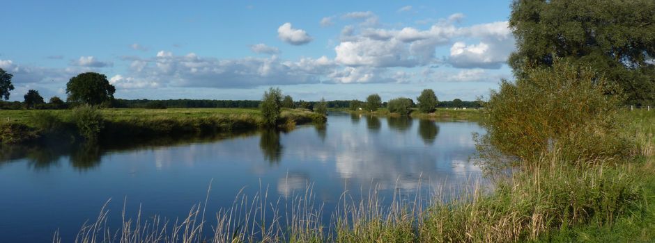 Große Freude bei der Naturschutzstiftung Heidekreis: Zuschlag für „Aller-Böhme“