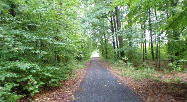 🌿 Aufbäumen