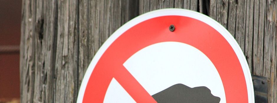 🐾 Rücksicht nehmen und Verantwortung übernehmen
