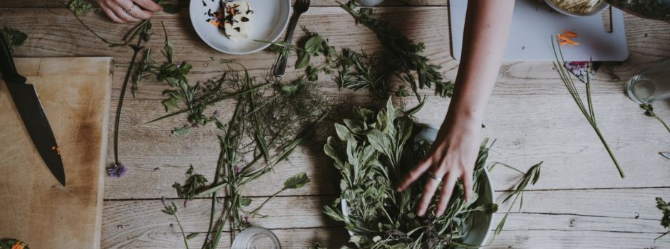 Wildkräuter sammeln – 10 Hallo-Tipps für den Herbst
