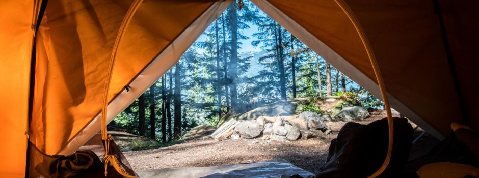 Katzensprung – nachhaltig reisen