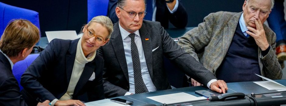 Streit mit Verfassungsschutz - AfD: «1:0 für uns»