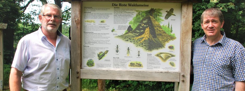 Kleine Krabbler umsiedeln