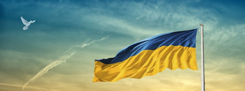 VG Rhein-Selz: Wohnraum und Dolmetscher für Flüchtlinge aus Ukraine gesucht
