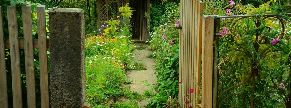 „Tag der offenen Gartentür“ am Sonntag, 30. Juni 2024