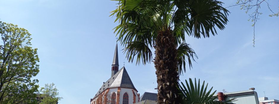 Jetzt wird es heiß in Mainz