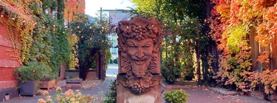 Wird ein Mainzer Biergarten der „beliebteste Deutschlands“?