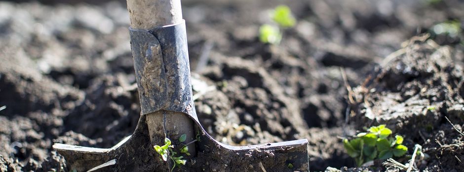 Mainzer findet Bombe in eigenem Garten