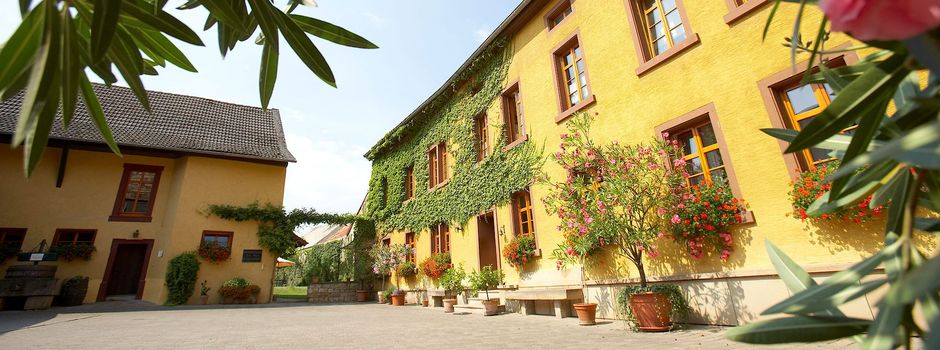 Dieses Wein-Event findet am Wochenende in Eckelsheim statt