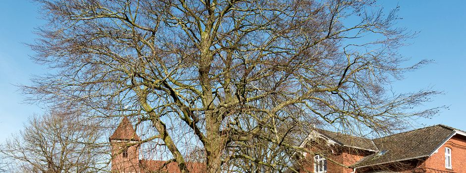 Ein außergewöhnliches Haus zu vermieten.