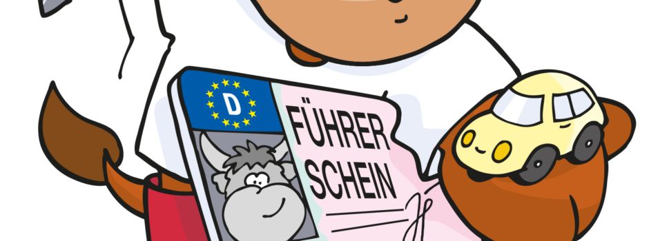 Bis 19. Januar 2025 Führerrschein umtauschen