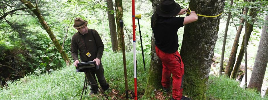 Özdemir: «Das grüne Herz unseres Landes gerät aus dem Takt»