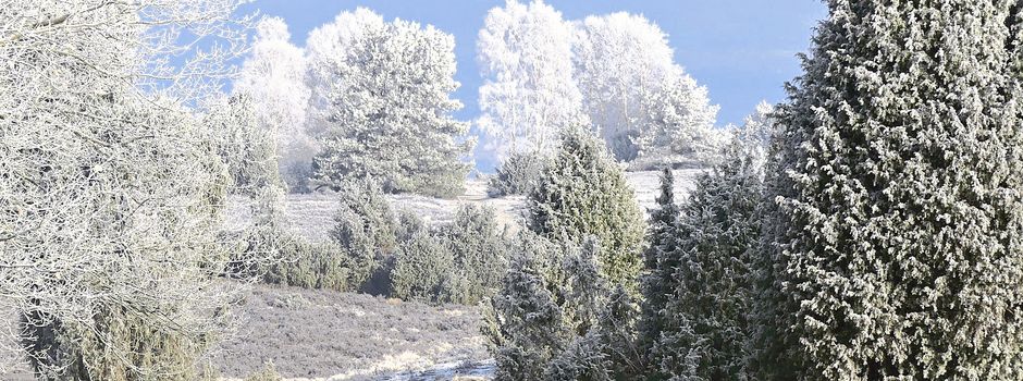 Neujahrswanderung auf einer Variante des Heidschnuckenwegs