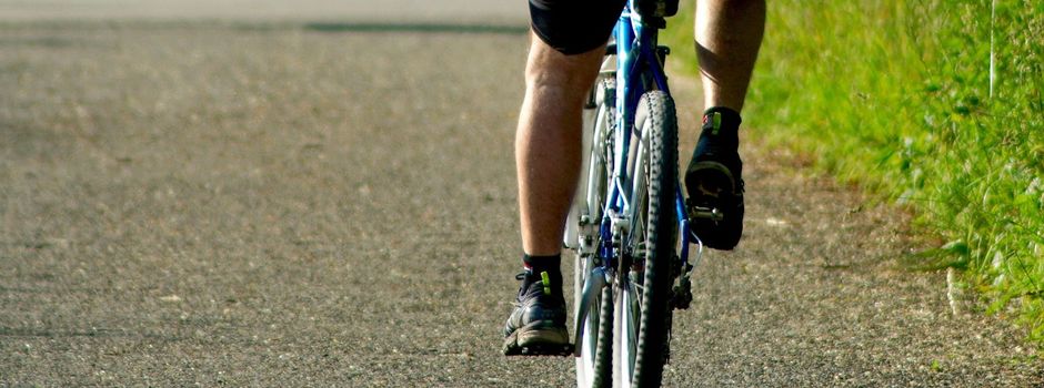 Neuer Radweg in Koblenz: Dafür müssen 37 Bäume am Moselufer weichen