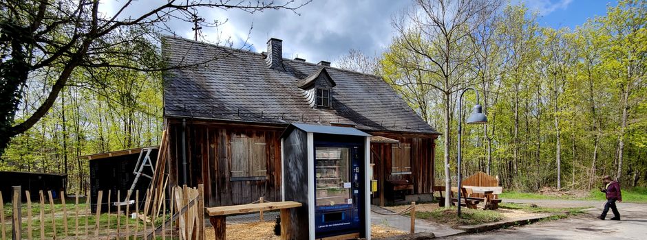 Lennebergwald in Mainz feiert Jubiläum: Diese Aktionen sind geplant