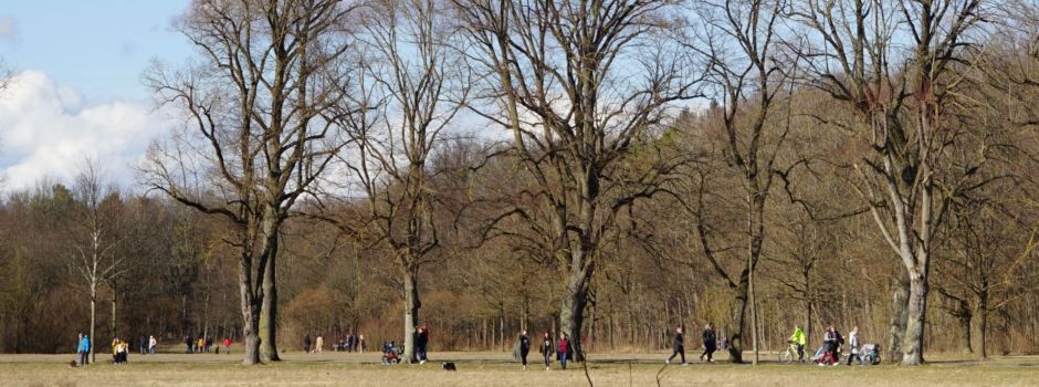 Zwei Brände im März: Erweiterte Regeln im Stadtwald Augsburg