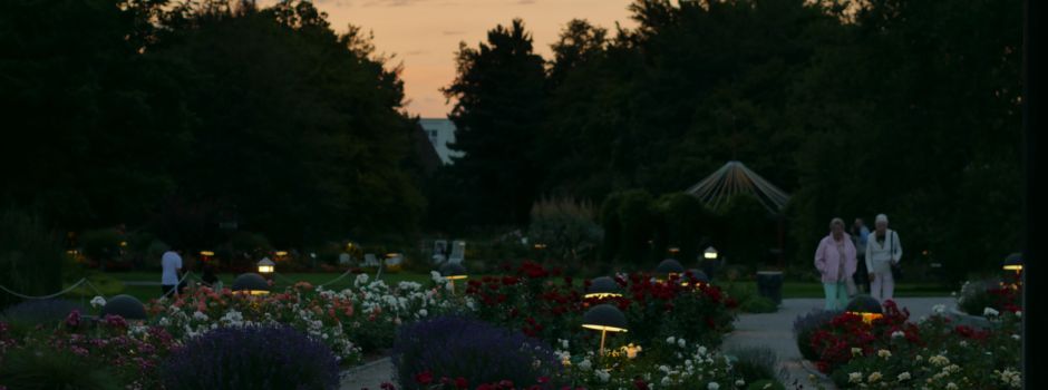 5 Orte für einen romantischen Herbstspaziergang in Augsburg