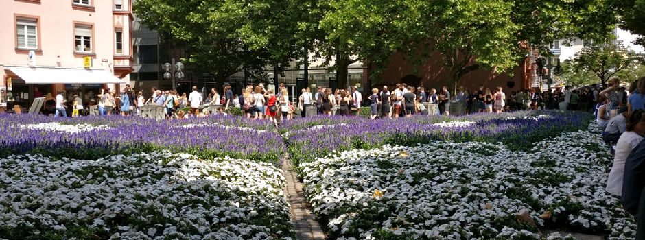 OB Ebling zum Marktfrühstück: „Würde guten Gewissens hingehen, wenn...“