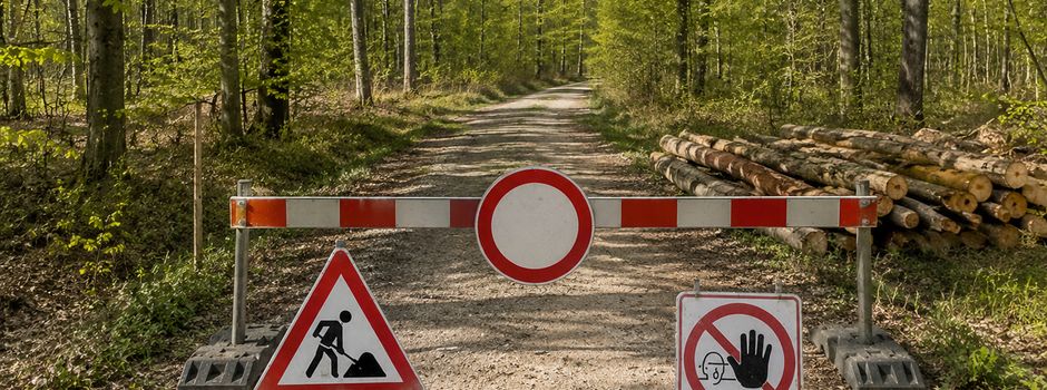 Holzernte im Ölgrund: Waldweg zeitweise gesperrt