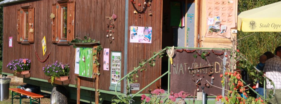 Oppenheim feiert 10-jähriges Bestehen des Naturkindergartens