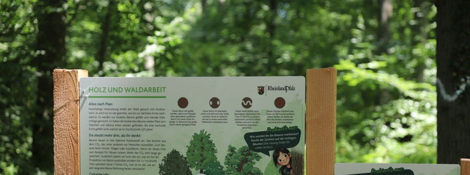 Neuer Walderlebnispfad am Vorholz eröffnet