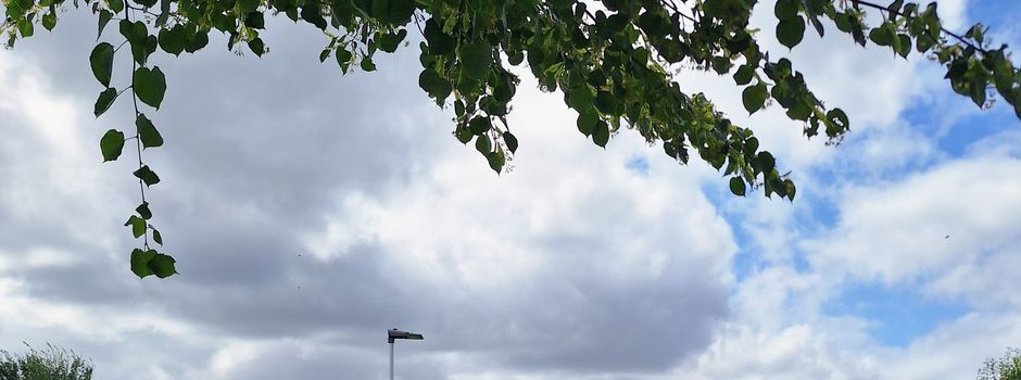 Aktuelles aus der Ratsarbeit: Radweg, Dorfstromer, Grünabfall & Vandalismus