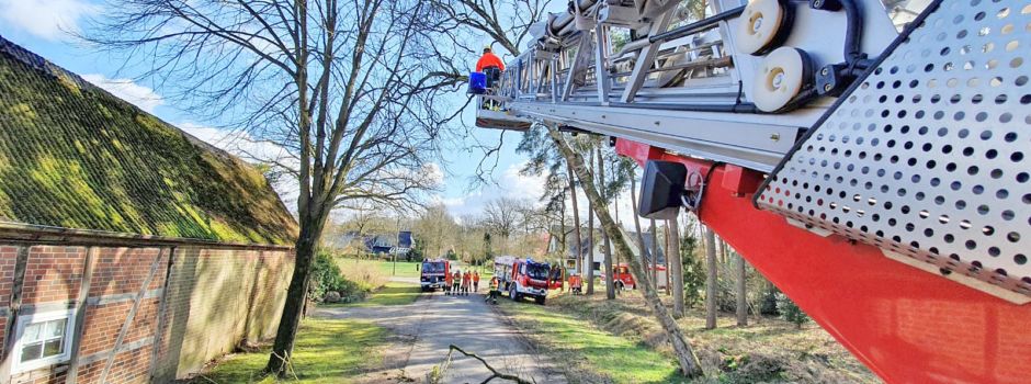 Sturmtief: Bäume fallen auf Straßen