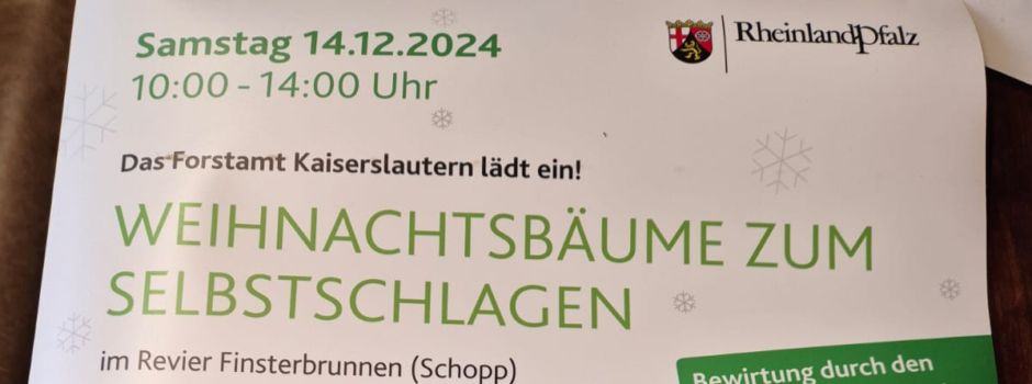 Weihnachtsbäume zum Selbstschlagen