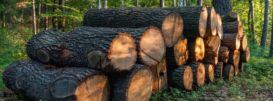 Restposten Holzpolder – jetzt zugreifen!
