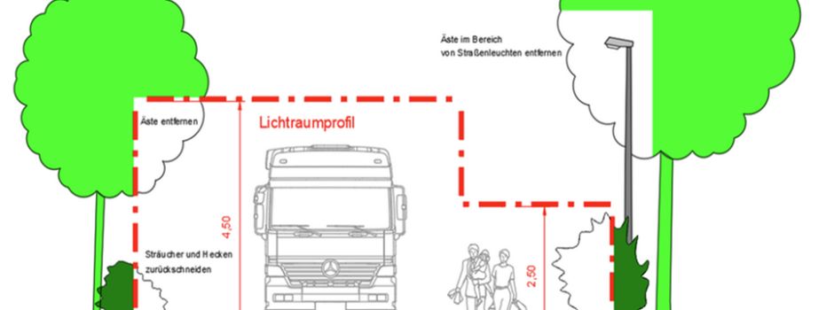 Verkehrssicherung an Grundstücken: Das Ordnungsamt appelliert an die Besitzer