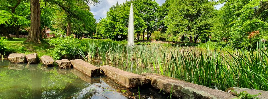 Gottesdienst und Picknick im Park