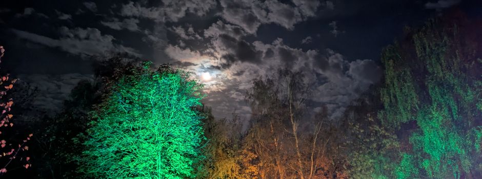 Unsere Feste in 2025 - ein Rückblick