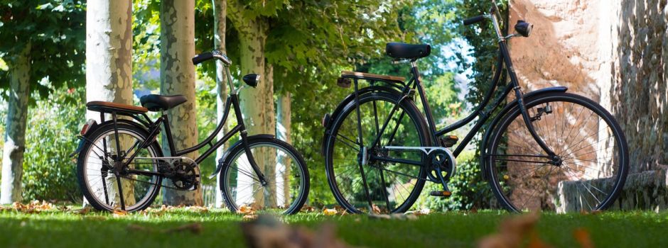 STADTRADELN 2026
Die Samtgemeinde Hemmoor ist wieder dabei!