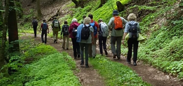 Kleine Seniorenwanderung - Erlebnislandschaft Erdekaut mit Führung 
